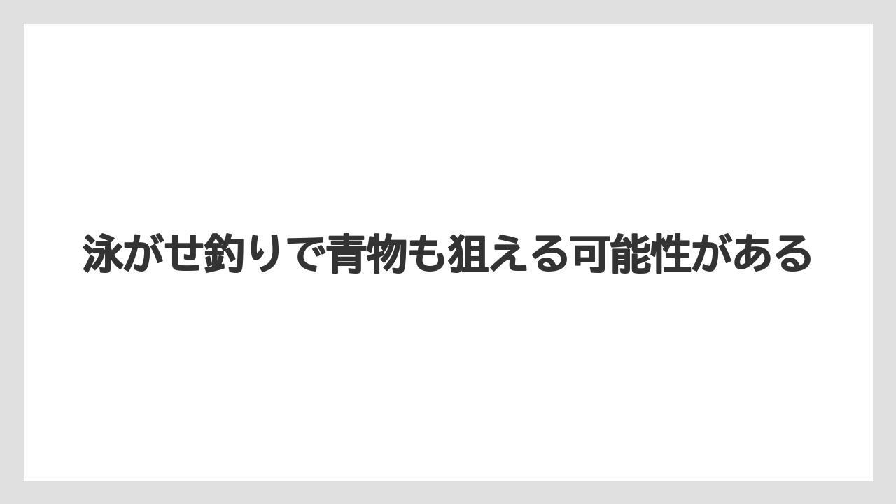 【アジング】泳がせ釣りで青物も狙える可能性がある