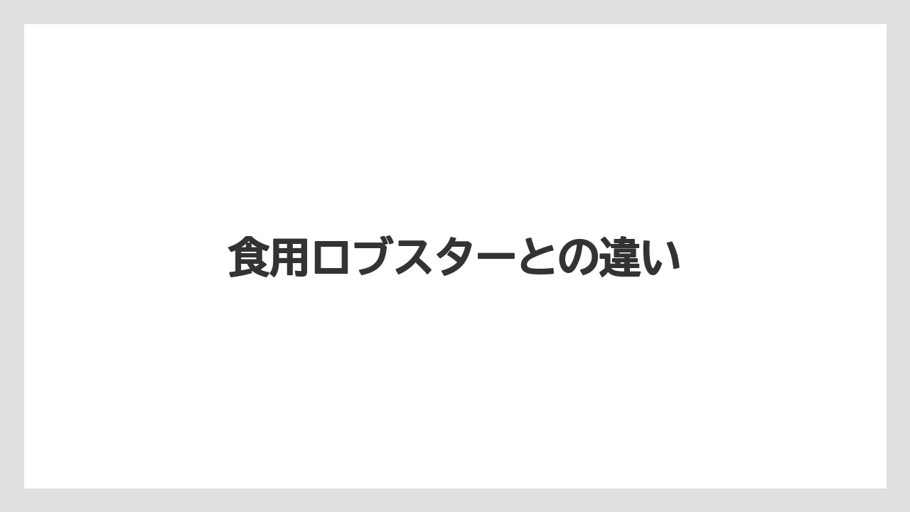 【キス】食用ロブスターとの違い