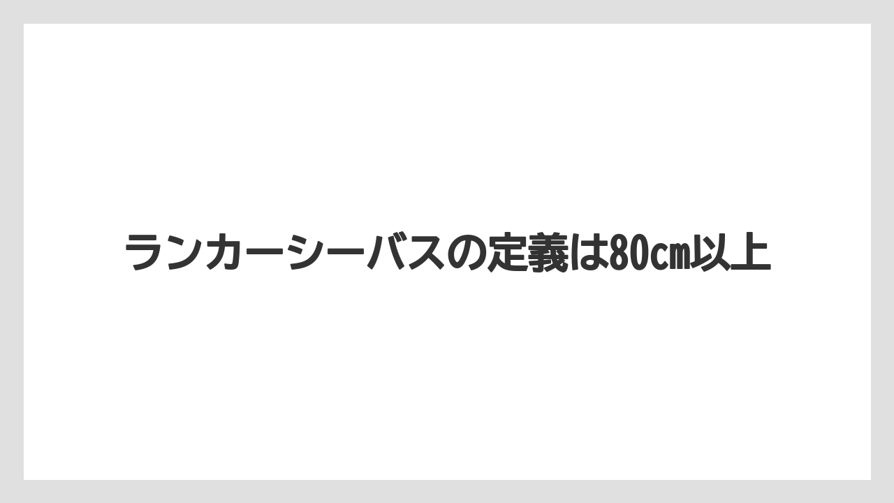 【シーバス】ランカーシーバスの定義は80cm以上