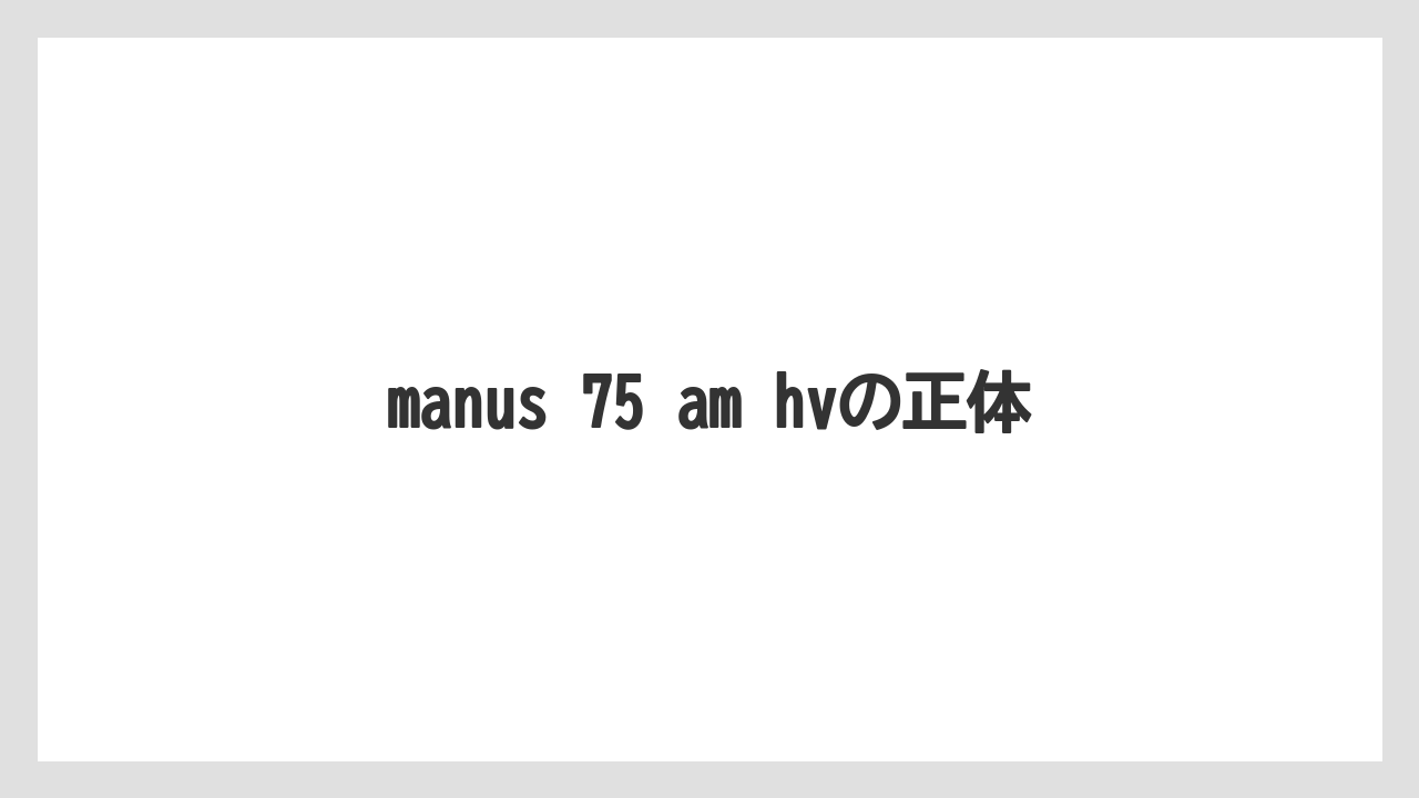 【フィッシング】【仕掛け】【釣り方】manus 75 am hvの正体