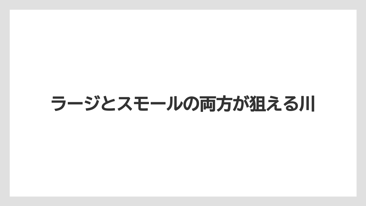【バス釣り】ラージとスモールの両方が狙える川