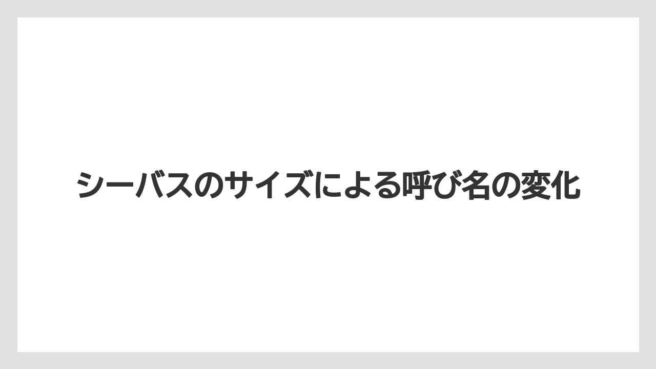 【シーバス】シーバスのサイズによる呼び名の変化