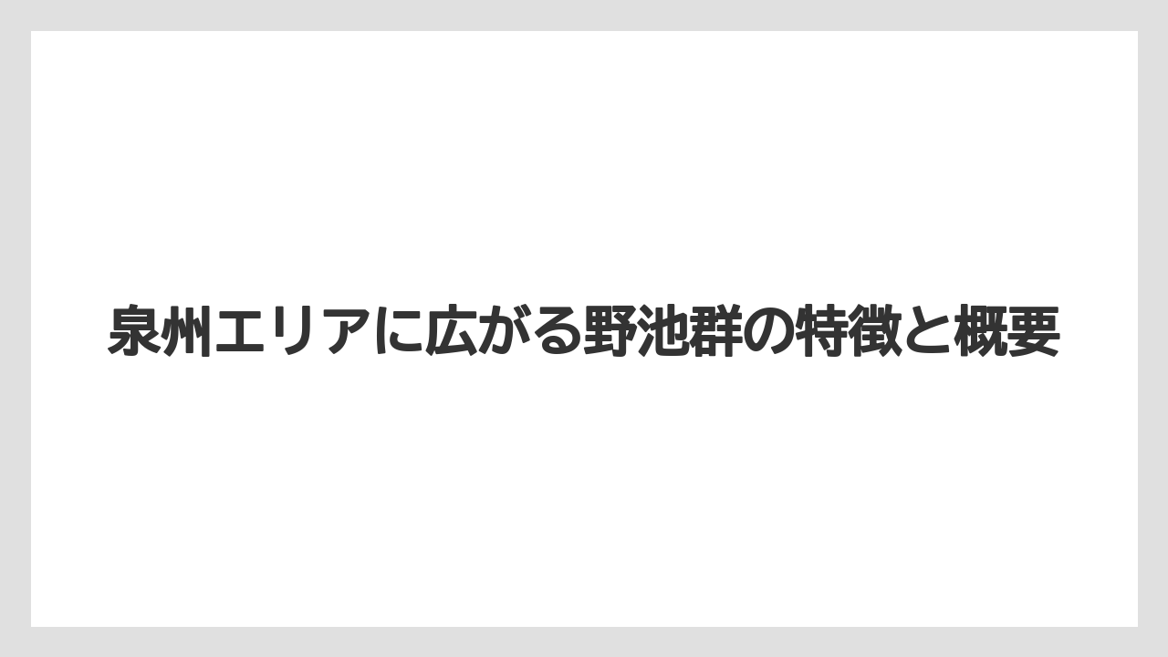 【バス釣り】泉州エリアに広がる野池群の特徴と概要
