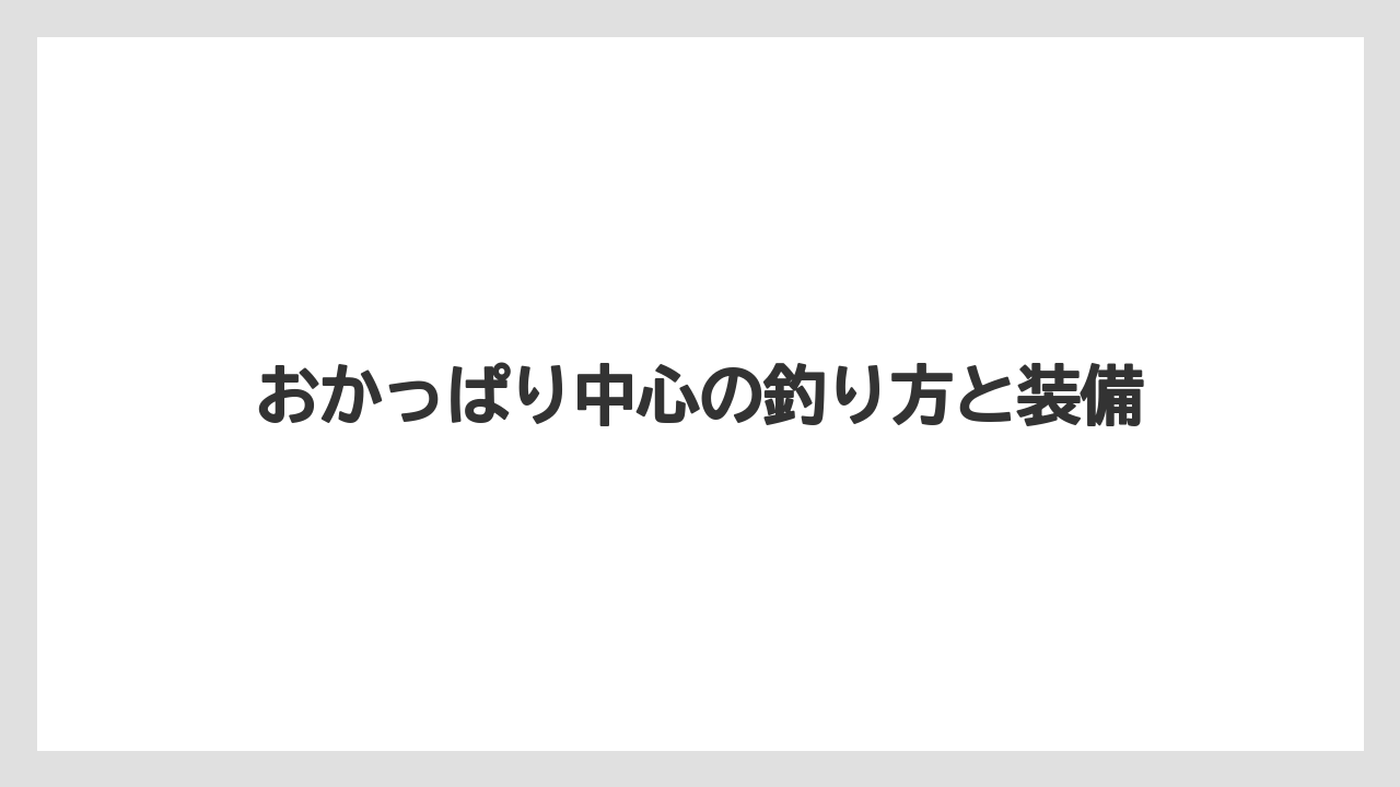 【バス釣り】おかっぱり中心の釣り方と装備
