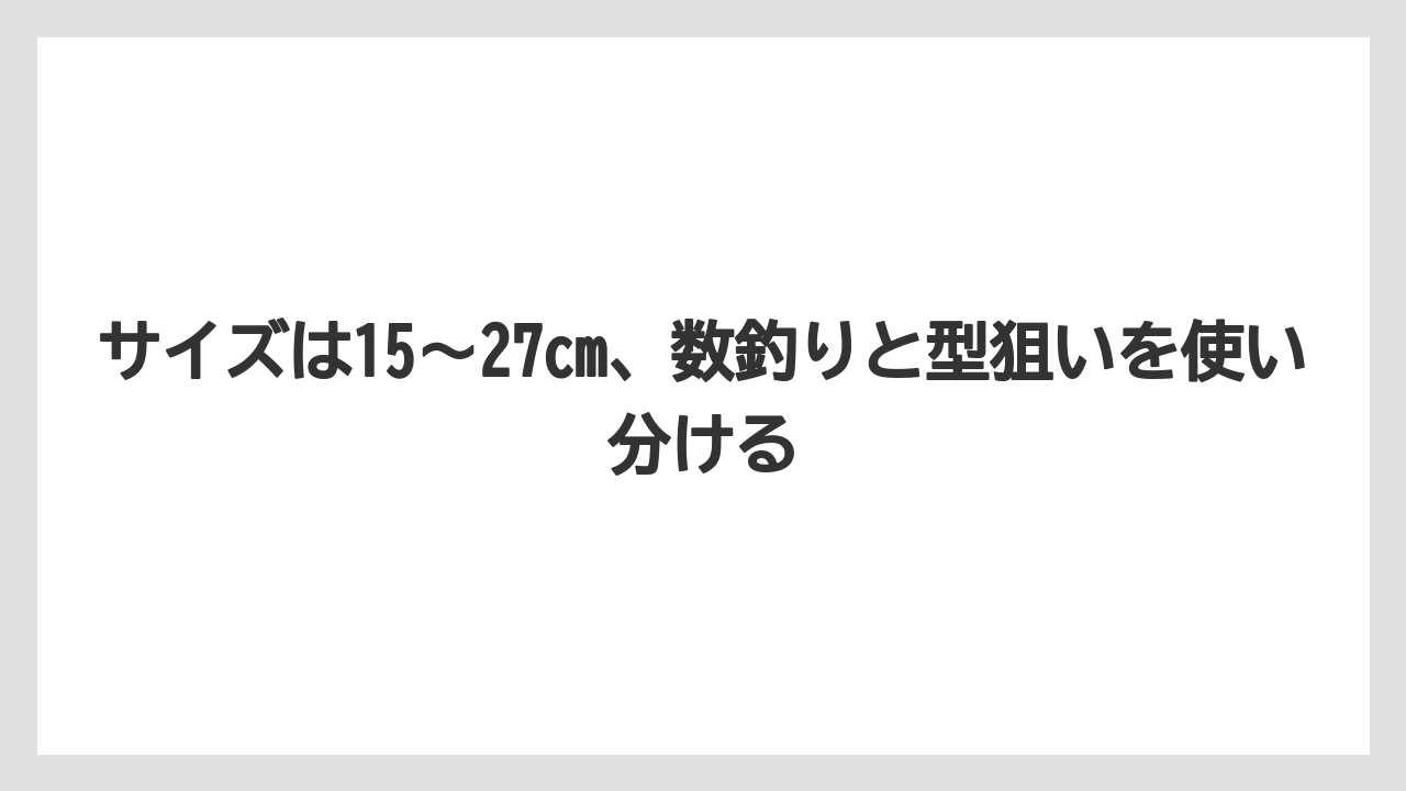【アジング】サイズは15～27cm、数釣りと型狙いを使い分ける