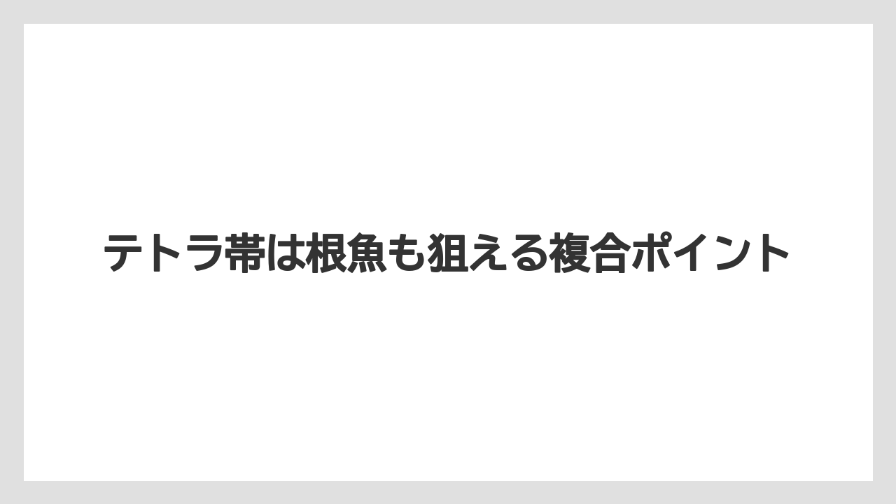 【アジング】テトラ帯は根魚も狙える複合ポイント