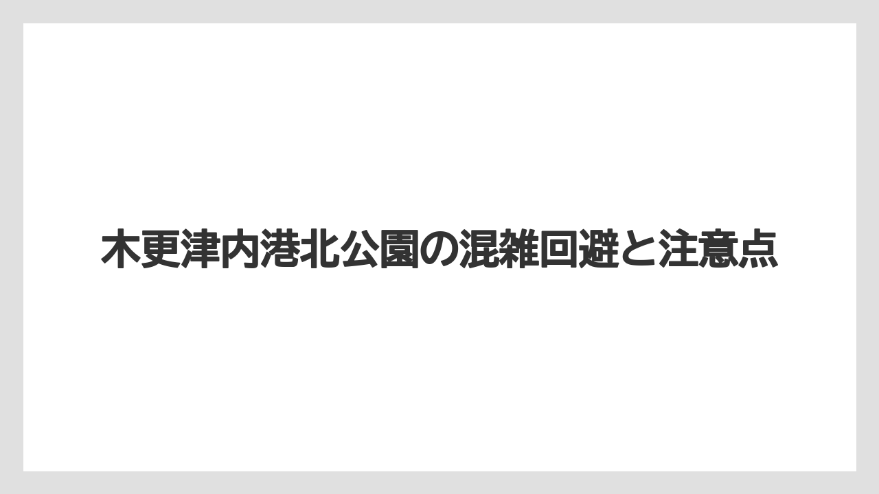 【アジング】木更津内港北公園の混雑回避と注意点