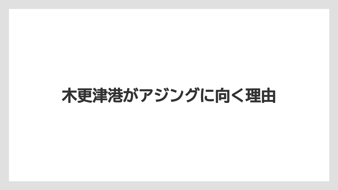 【アジング】木更津港がアジングに向く理由