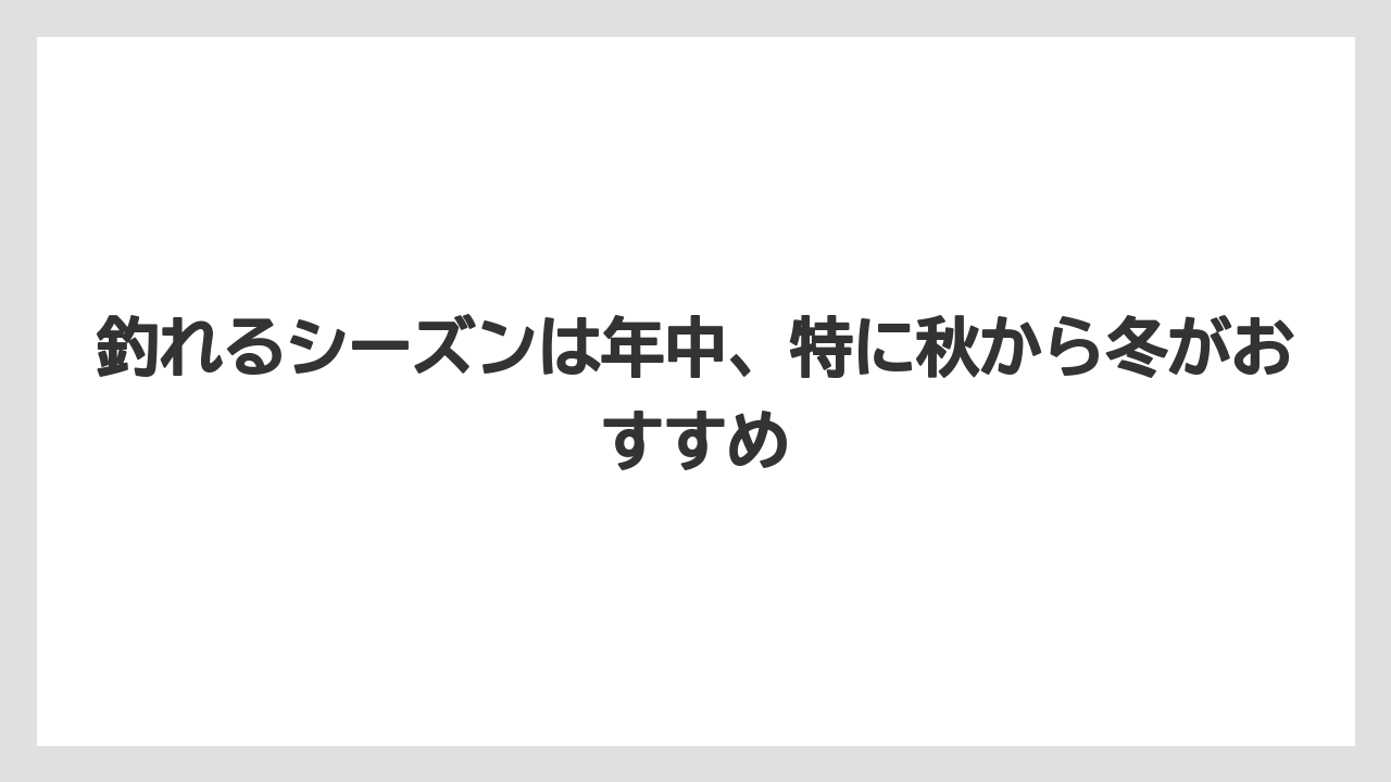 【アジング】釣れるシーズンは年中、特に秋から冬がおすすめ